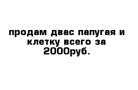 продам двас папугая и клетку всего за 2000руб.